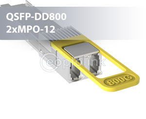 QSFP DD800 2xMPO 12
